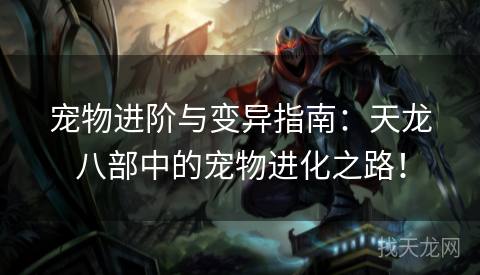 宠物进阶与变异指南：天龙八部中的宠物进化之路！