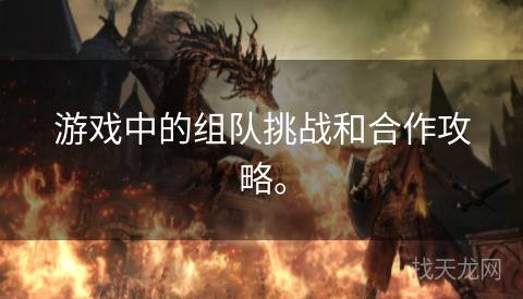 游戏中的组队挑战和合作攻略。