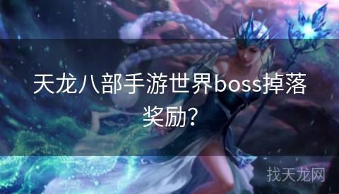 天龙八部手游世界boss掉落奖励？