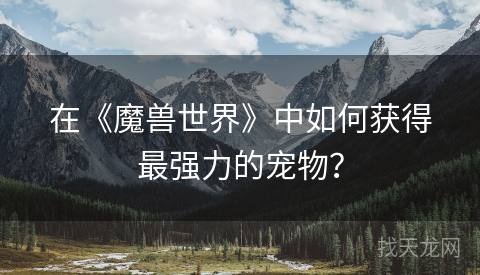 在《魔兽世界》中如何获得最强力的宠物？