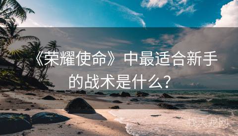 《荣耀使命》中最适合新手的战术是什么？