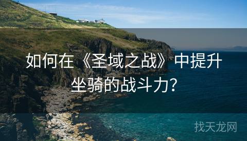 如何在《圣域之战》中提升坐骑的战斗力？