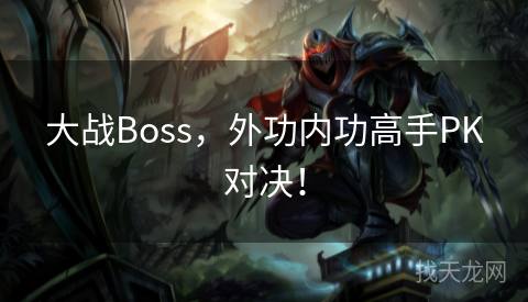 大战Boss，外功内功高手PK对决！