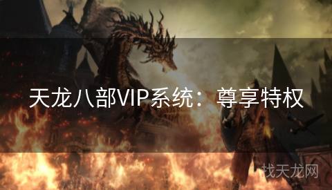 天龙八部VIP系统：尊享特权