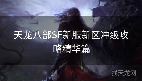 天龙八部SF新服新区冲级攻略精华篇