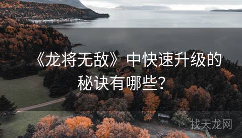 《龙将无敌》中快速升级的秘诀有哪些？