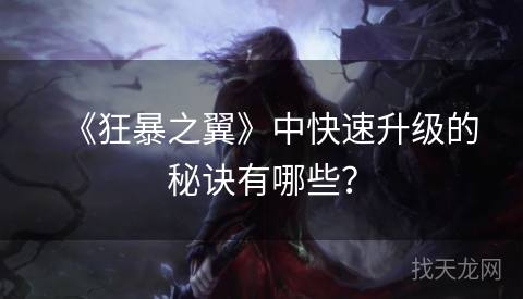 《狂暴之翼》中快速升级的秘诀有哪些？