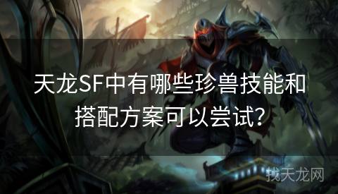 天龙SF中有哪些珍兽技能和搭配方案可以尝试？