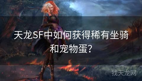 天龙SF中如何获得稀有坐骑和宠物蛋？