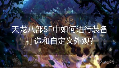 天龙八部SF中如何进行装备打造和自定义外观？