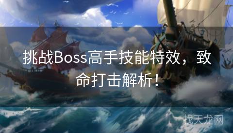 挑战Boss高手技能特效，致命打击解析！