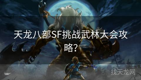 天龙八部SF挑战武林大会攻略？