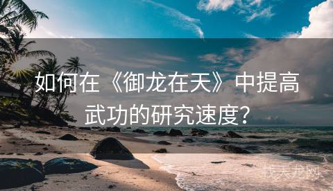 如何在《御龙在天》中提高武功的研究速度？