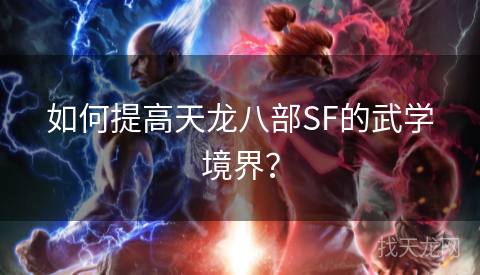 如何提高天龙八部SF的武学境界？