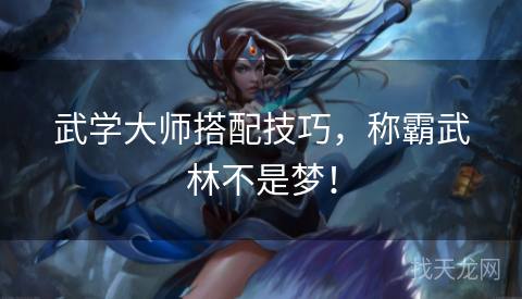 武学大师搭配技巧，称霸武林不是梦！