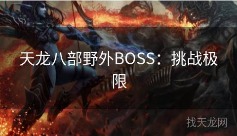 天龙八部野外BOSS：挑战极限