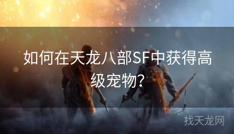 如何在天龙八部SF中获得高级宠物？