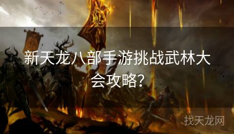 新天龙八部手游挑战武林大会攻略？