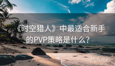 《时空猎人》中最适合新手的PVP策略是什么？