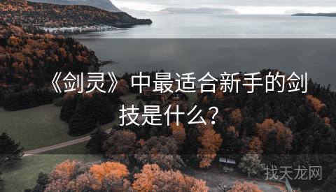 《剑灵》中最适合新手的剑技是什么？