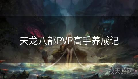 天龙八部PVP高手养成记