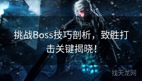 挑战Boss技巧剖析，致胜打击关键揭晓！