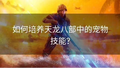 如何培养天龙八部中的宠物技能？