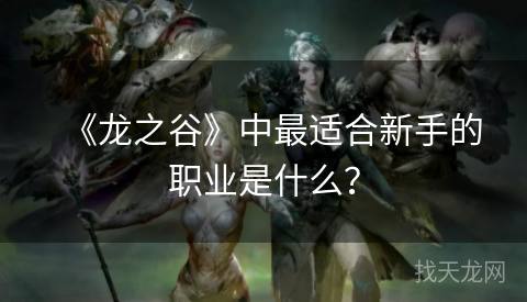 《龙之谷》中最适合新手的职业是什么？