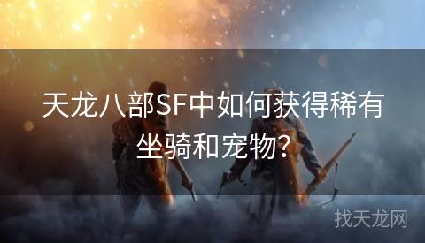 天龙八部SF中如何获得稀有坐骑和宠物？